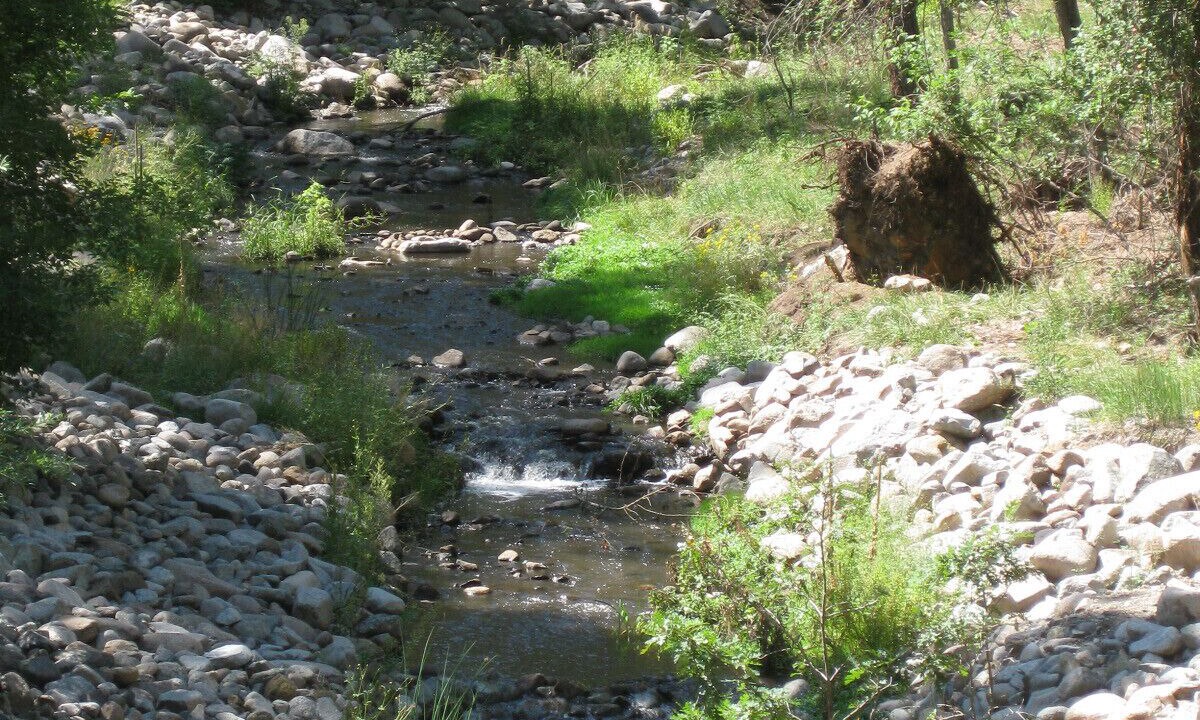Photo of Others in Ruidoso