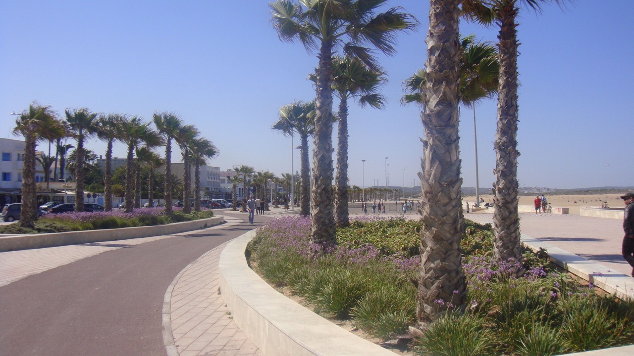 Photo of Others in Essaouira