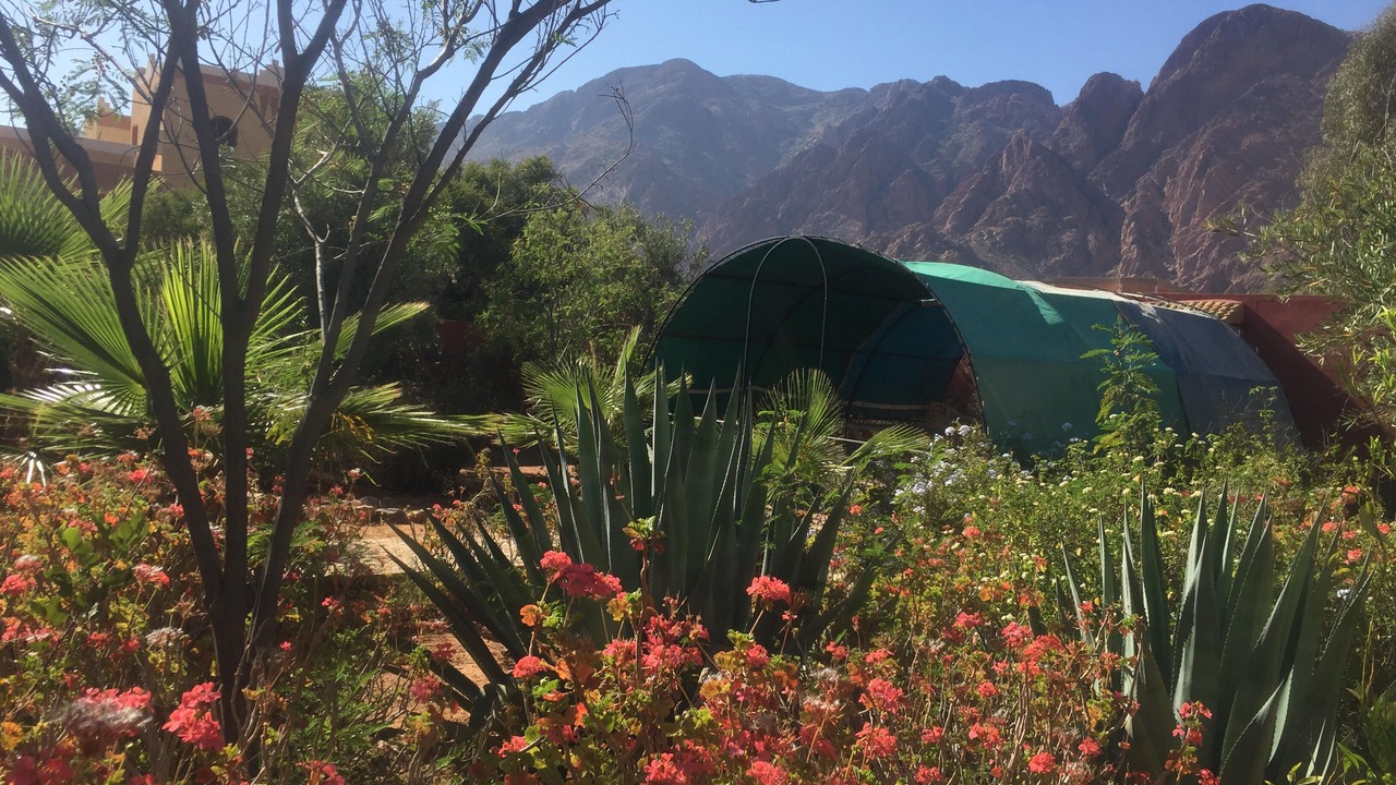 Photo of Outdoor in Ammelne