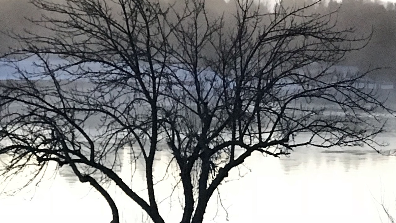 Photo of Others in Cheboygan