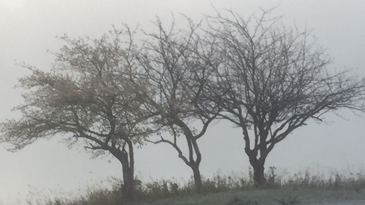 Photo of Others in Cheboygan