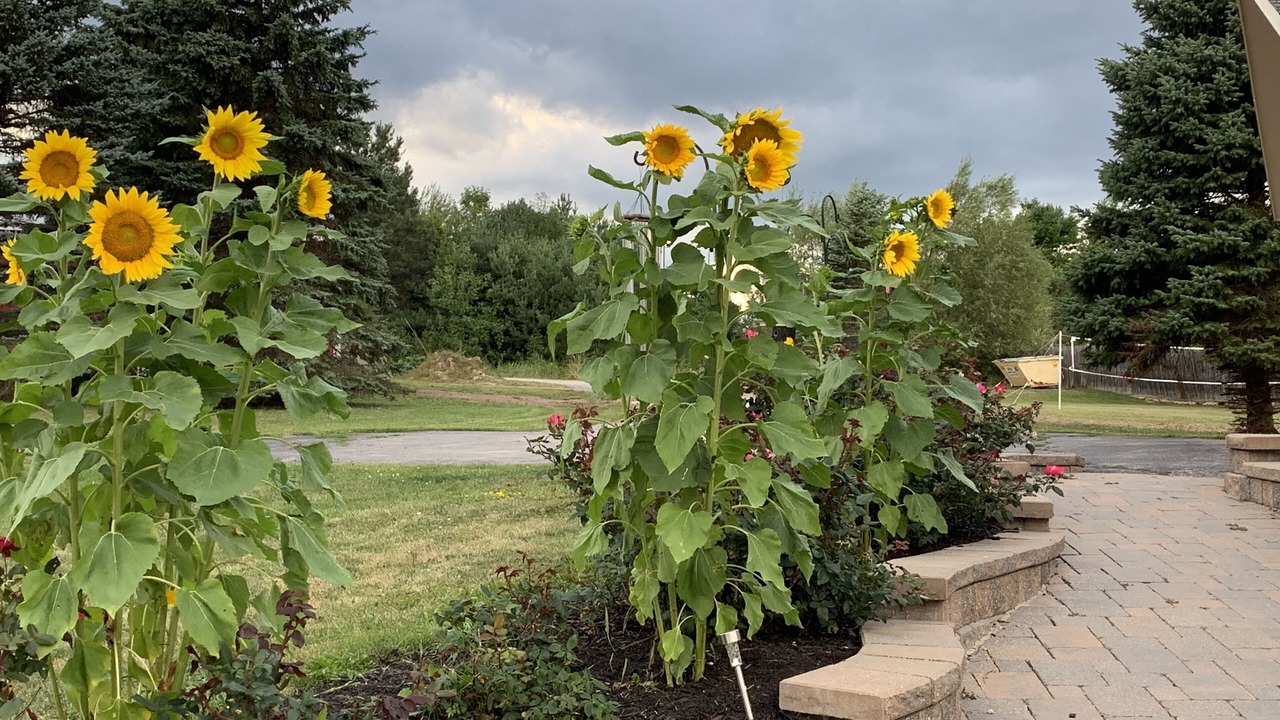 Photo of Outdoor in Cheboygan