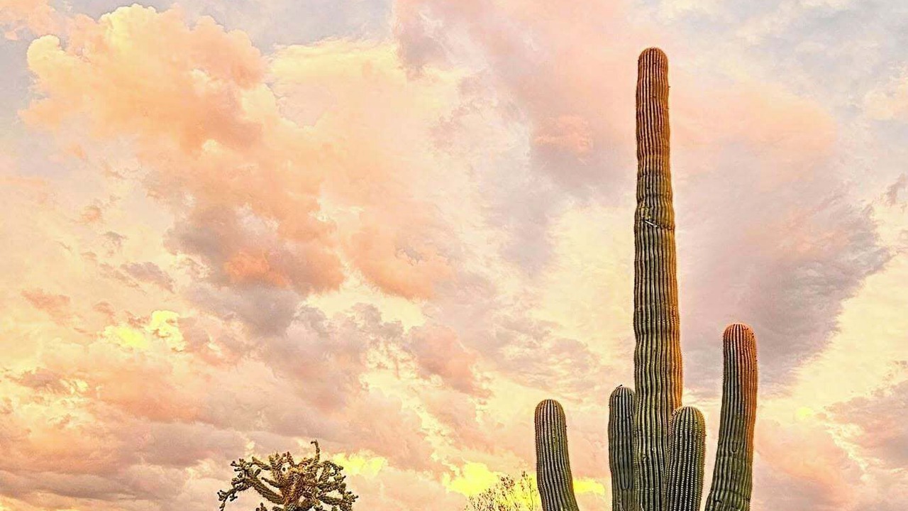Photo of Others in Tanque Verde