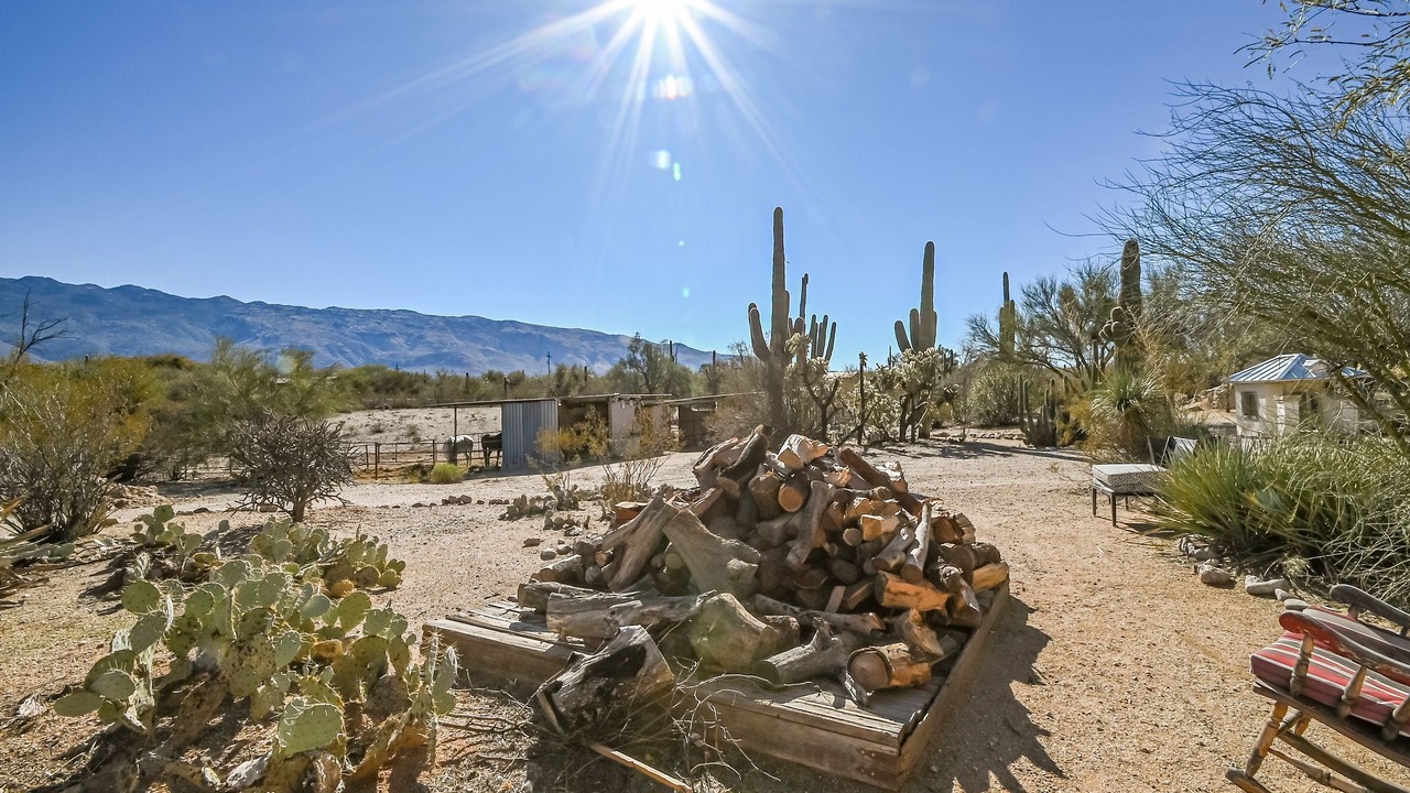 Photo of Outdoor in Tanque Verde