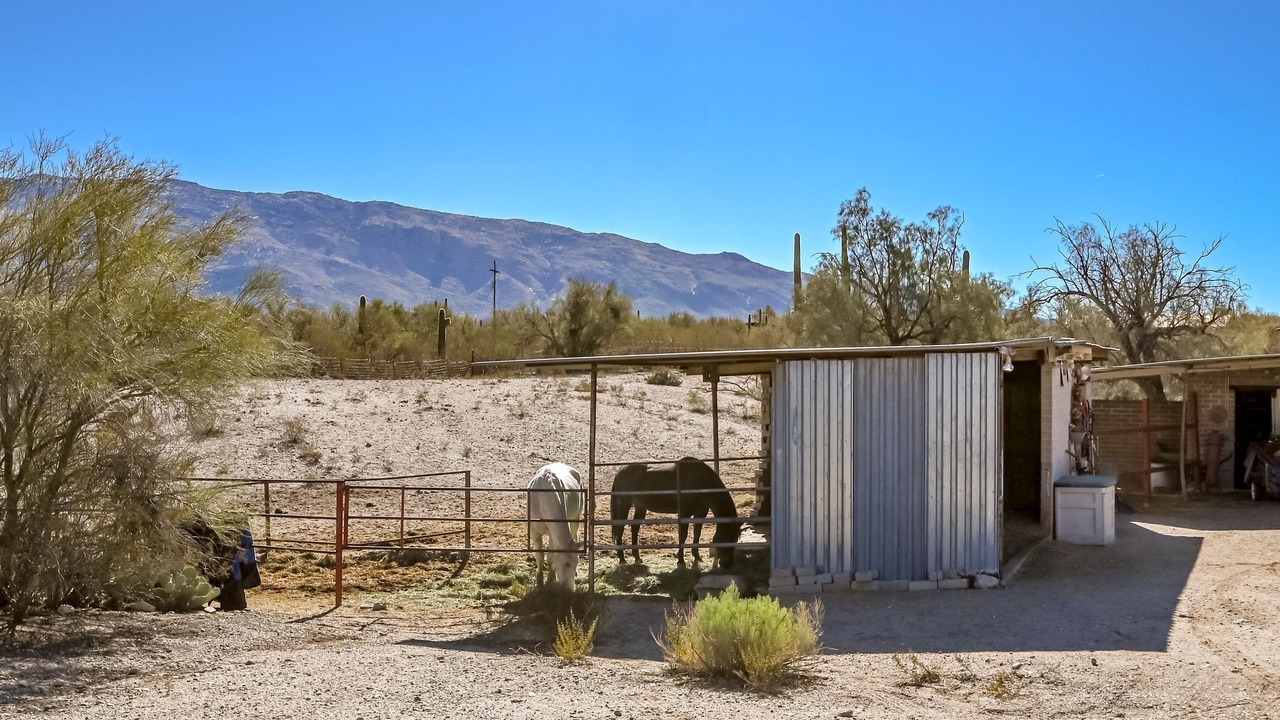 Photo of Outdoor in Tanque Verde