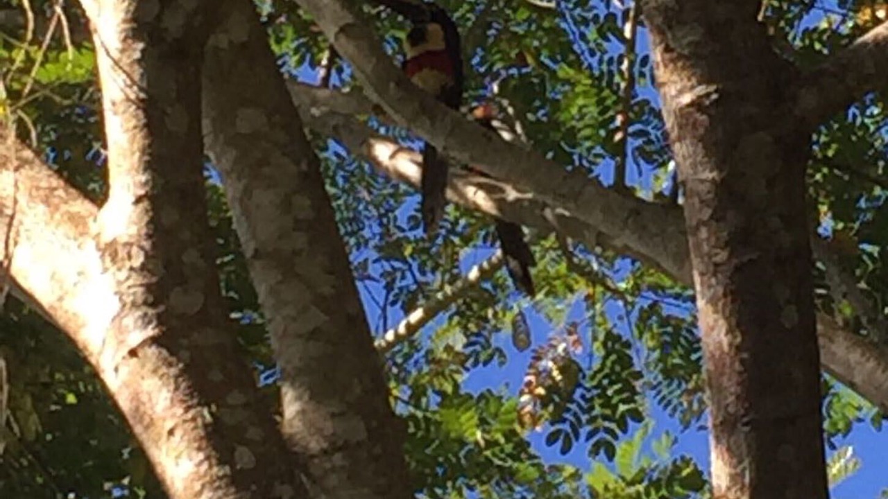 Photo of Outdoor in San Isidro de El General