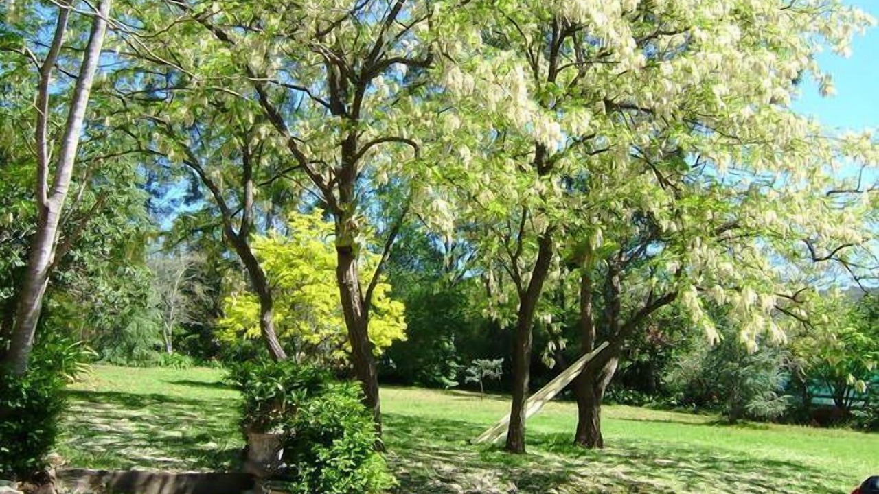 Photo of Outdoor in Grose Vale