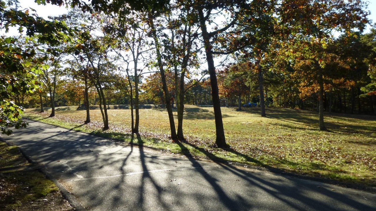 Photo of Others in Lagoon Heights