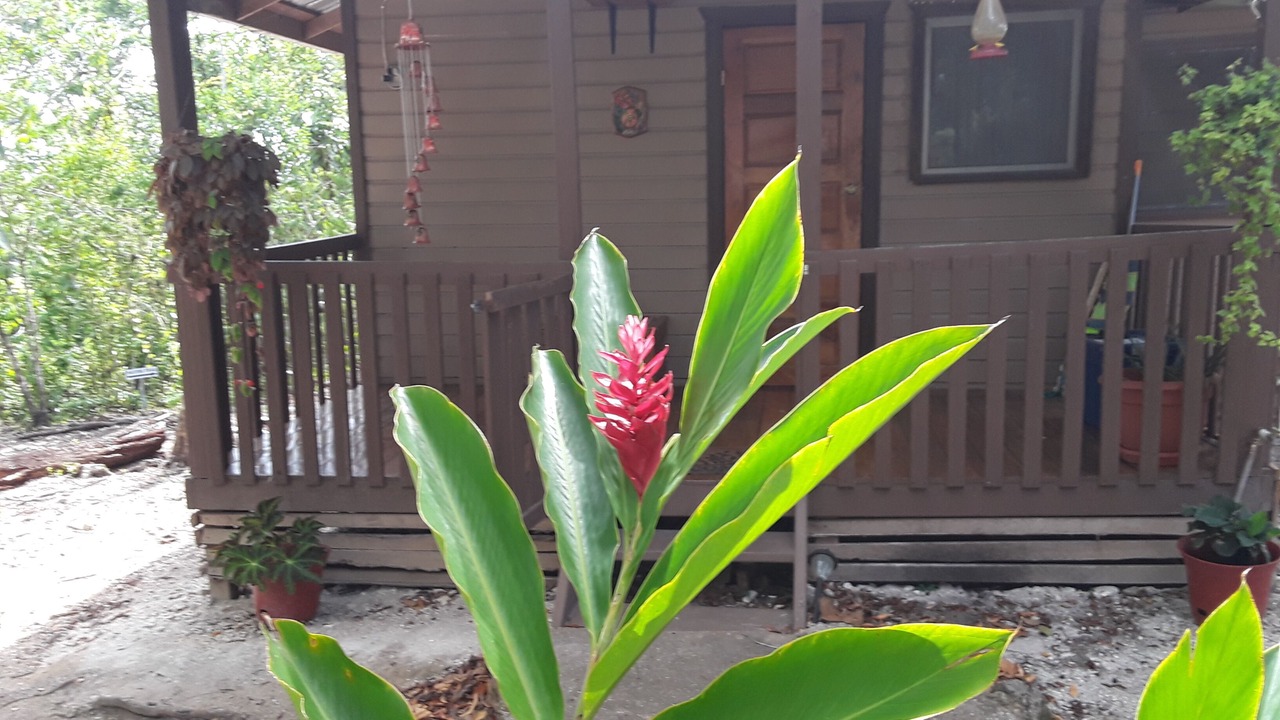 Photo of Outdoor in Unitedville