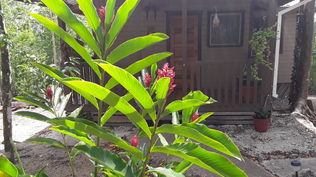 Photo of Outdoor in Unitedville