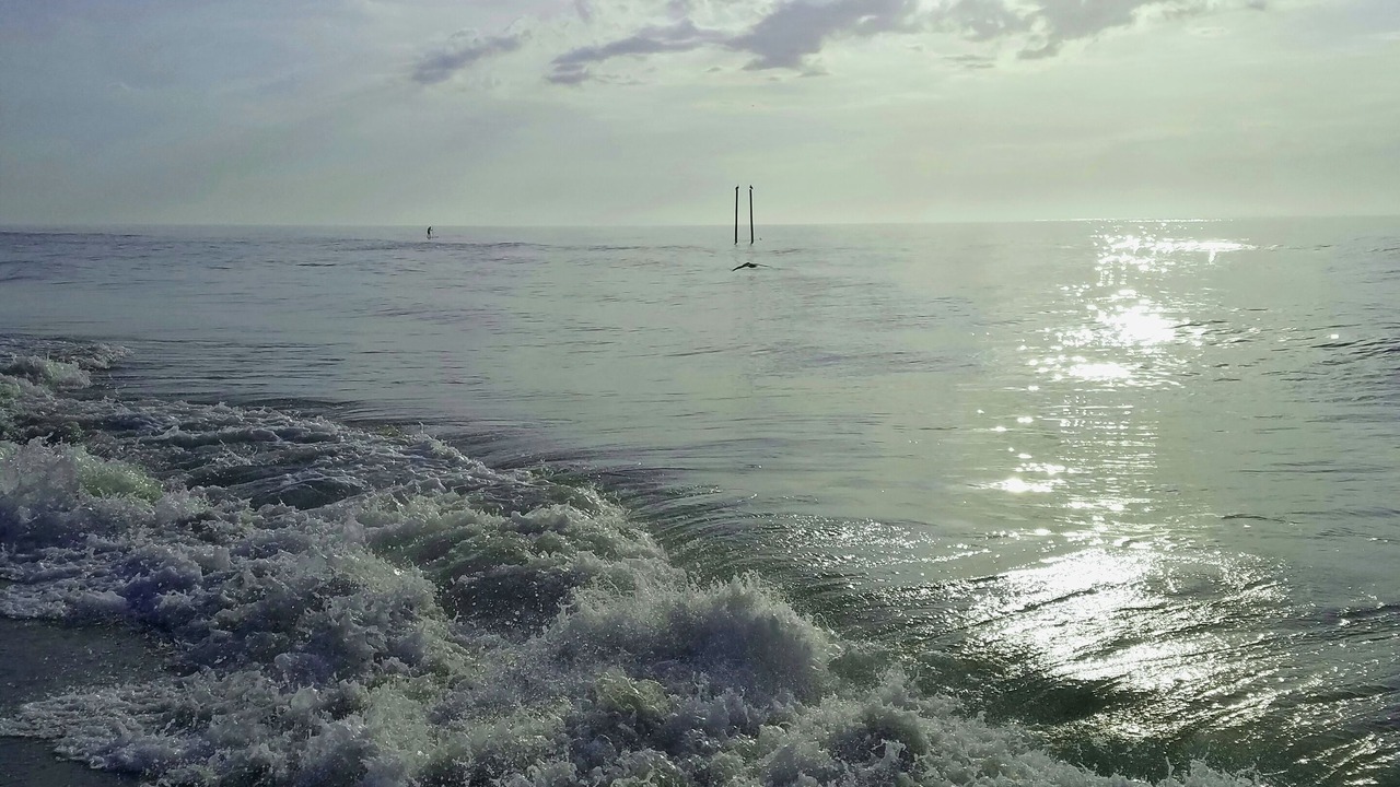 Photo of Others in Wilmington Beach