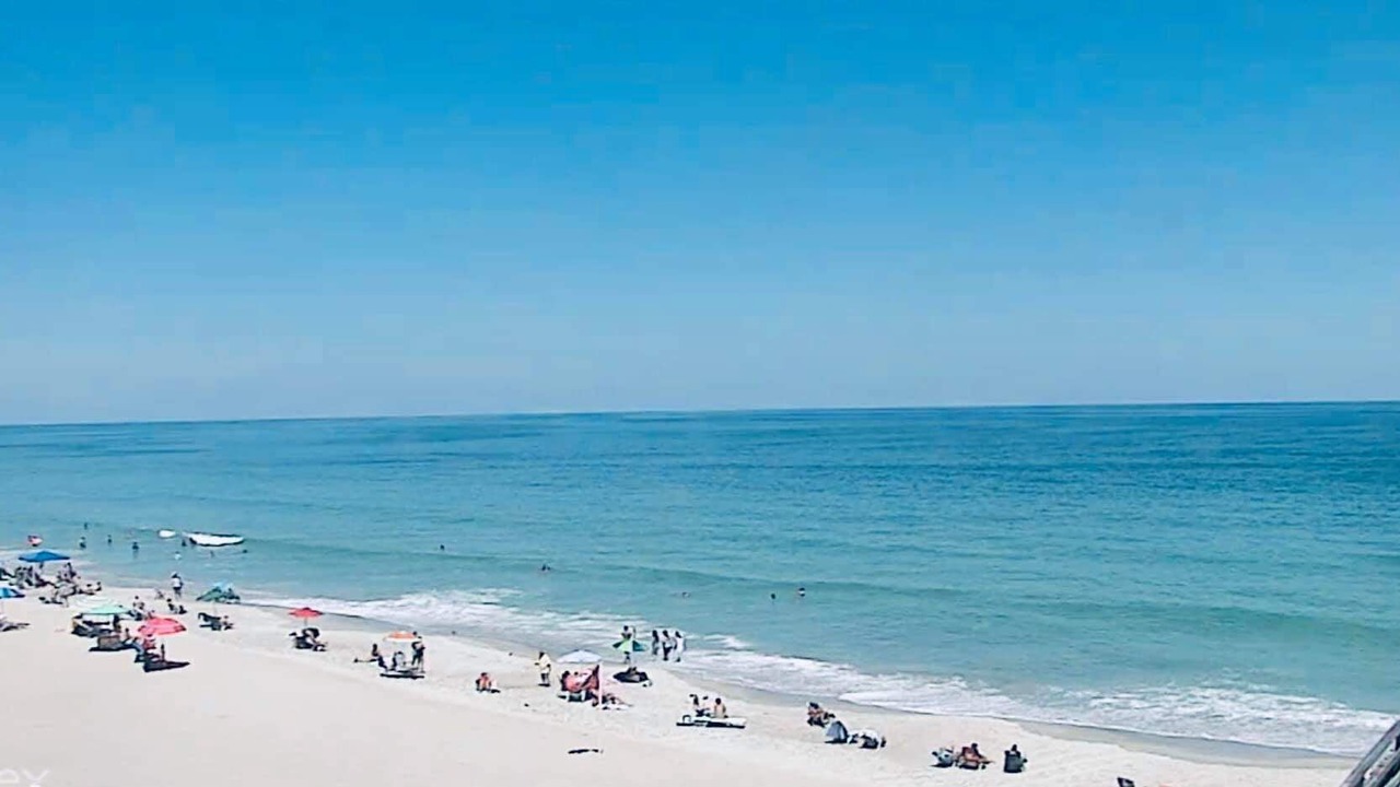 Photo of Others in Wilmington Beach