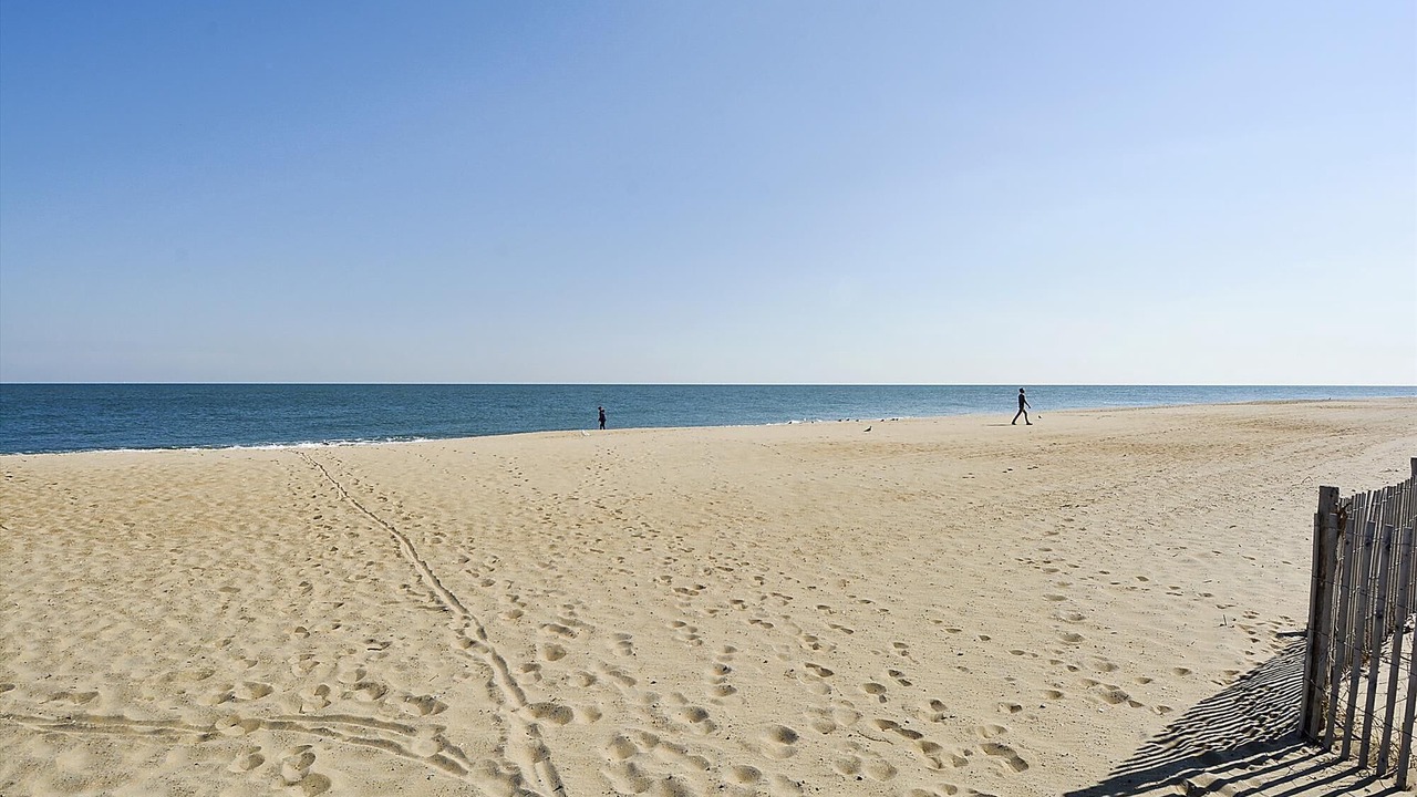 Photo of Others in Rehoboth Beach