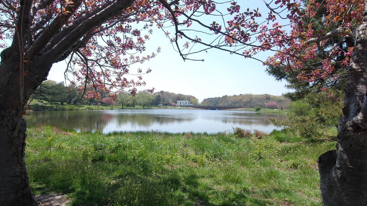 Photo of Outdoor in Rehoboth Beach