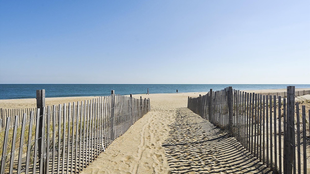 Photo of Others in Rehoboth Beach