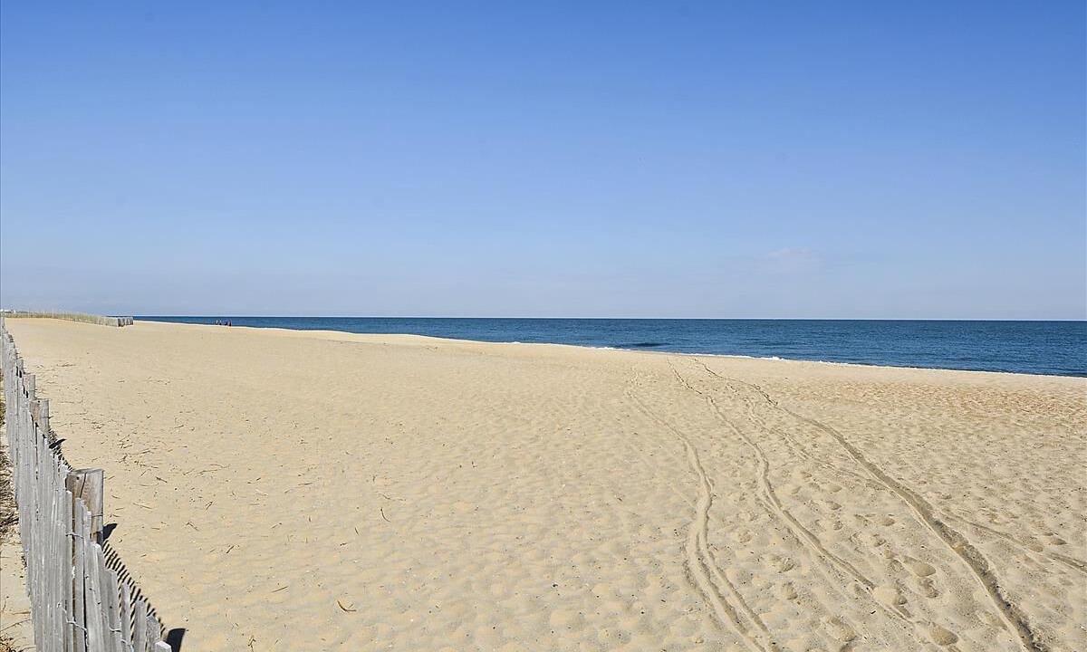 Photo of Others in Rehoboth Beach