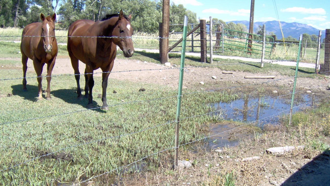Photo of Others in Salida