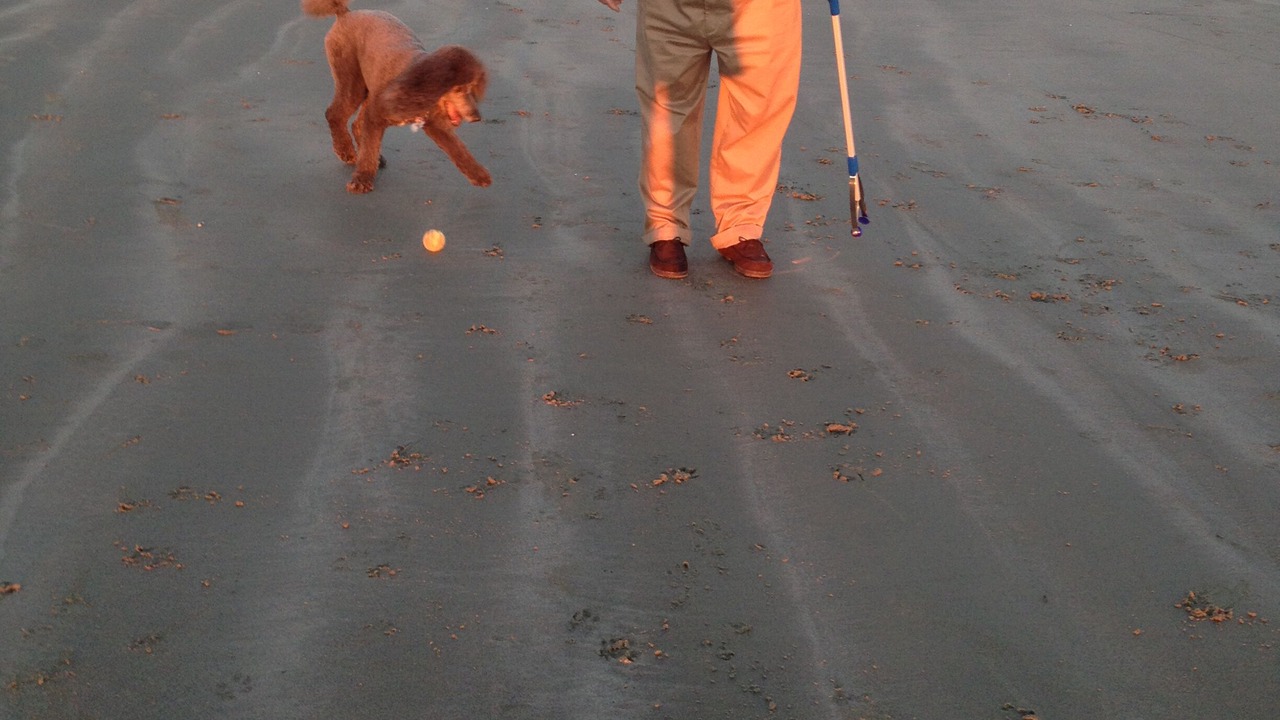 Photo of Others in West Beach