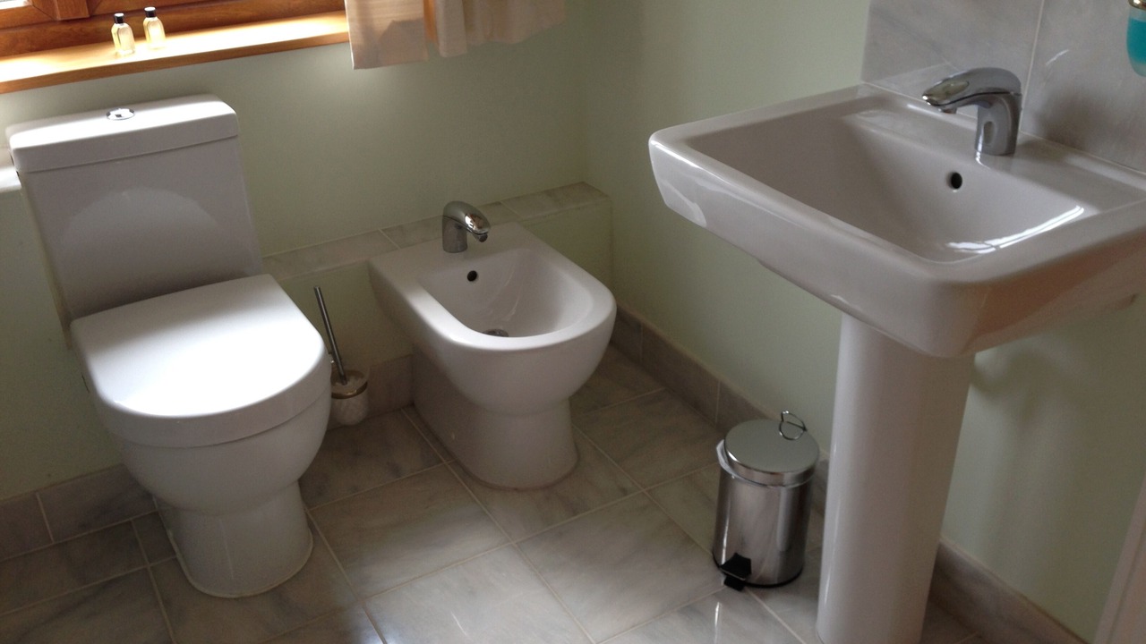 Photo of Bathroom in Probus