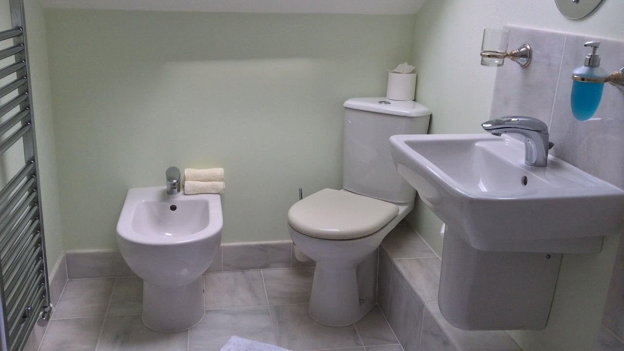 Photo of Bathroom in Probus