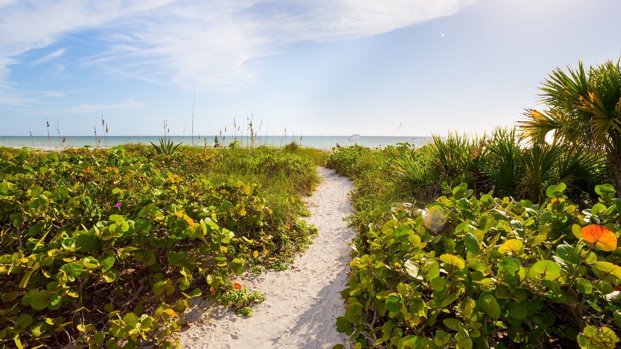Photo of Others in Sanibel