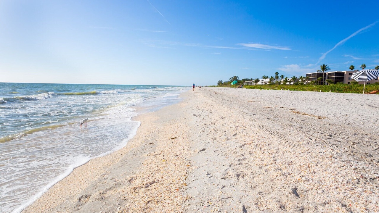 Photo of Others in Sanibel