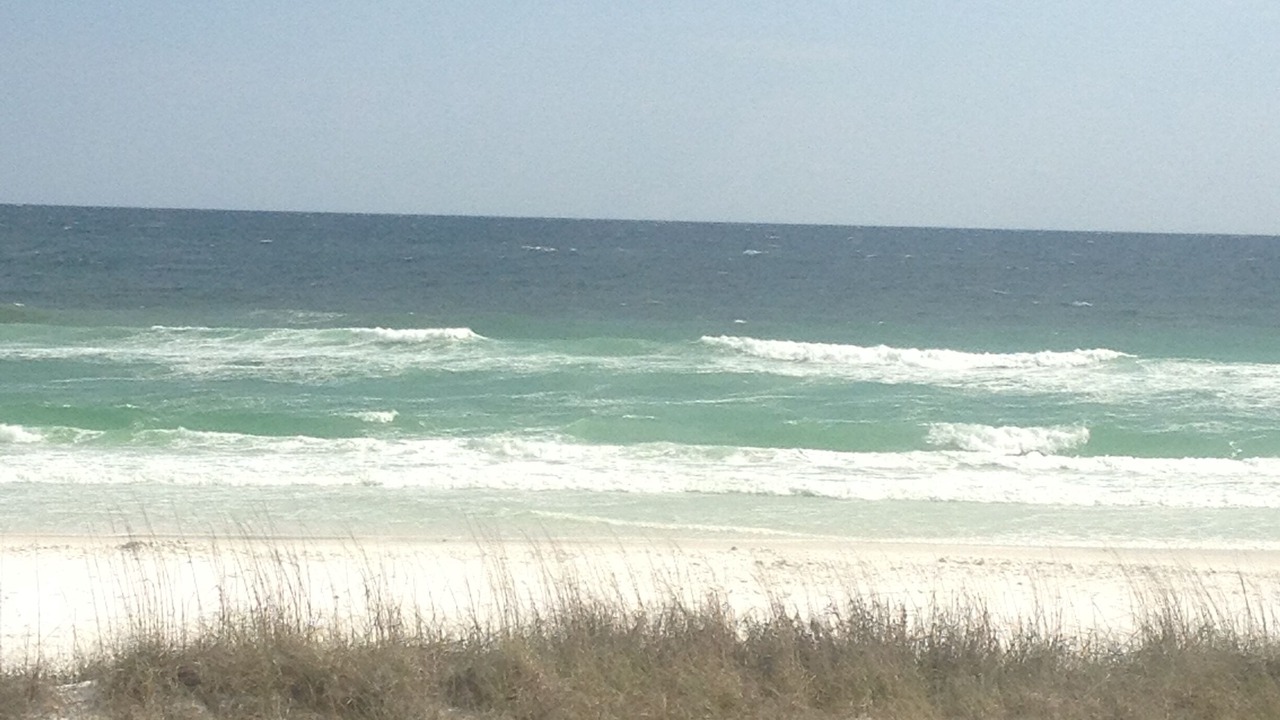 Photo of Others in Crystal Beach