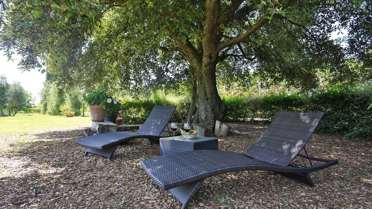 Photo of Outdoor in Argiano