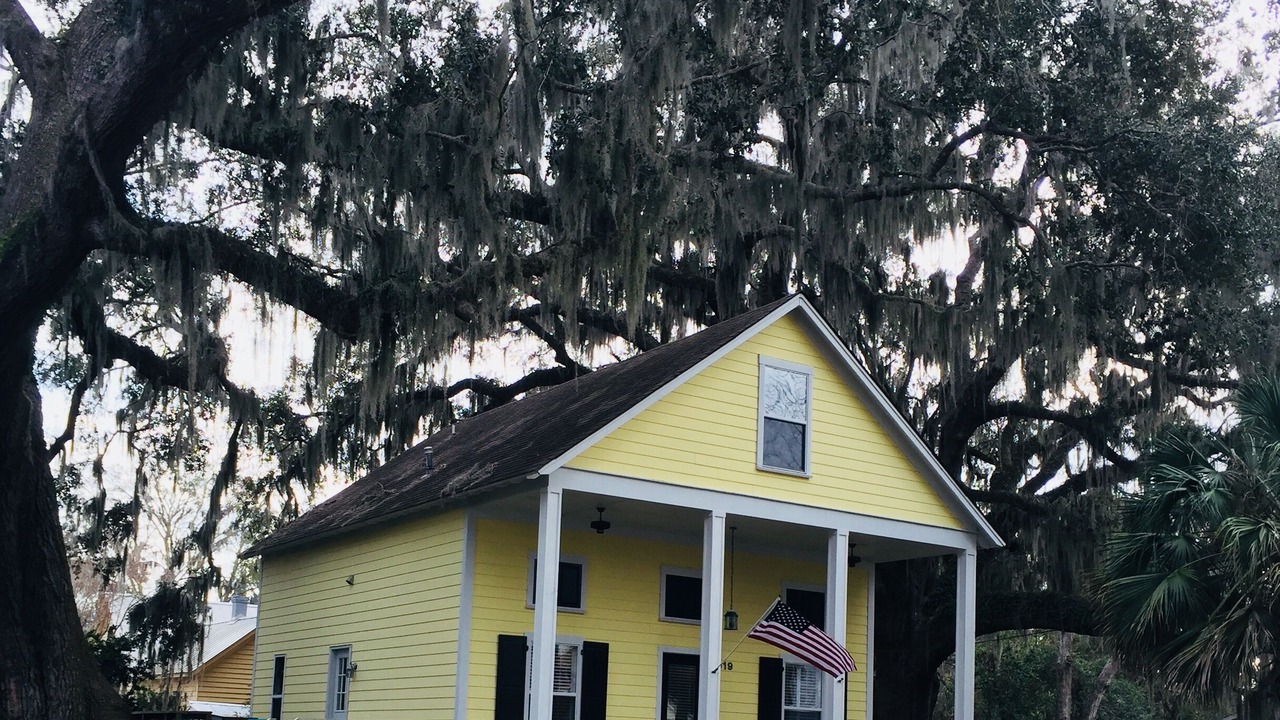 Photo of Others in Port Royal