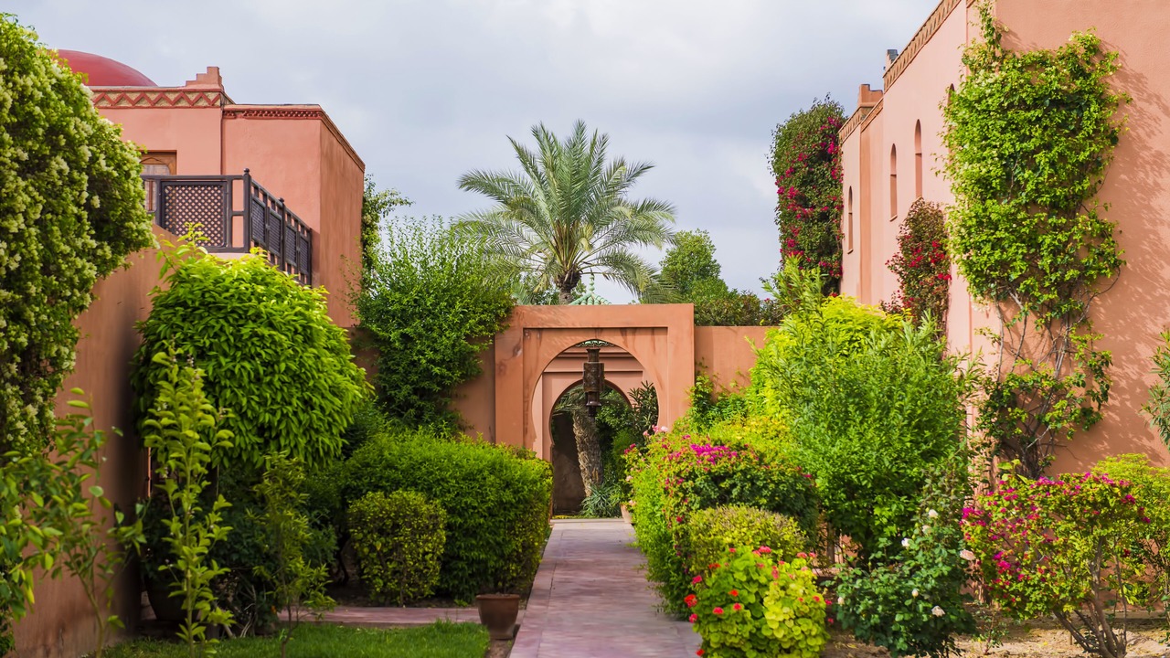 Photo of Outdoor in Palmeraie