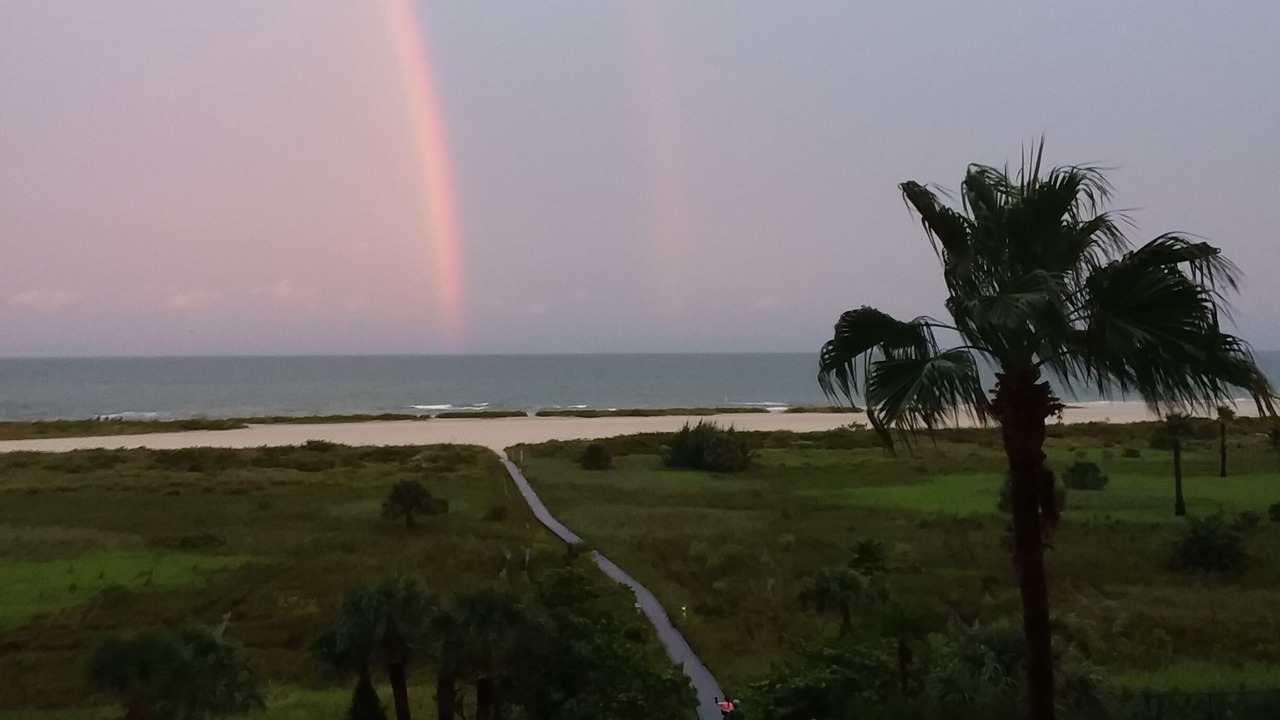 Photo of Outdoor in Sand Key