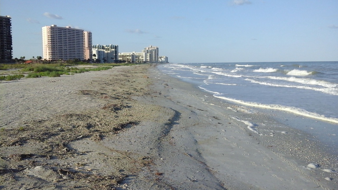 Photo of Others in Sand Key