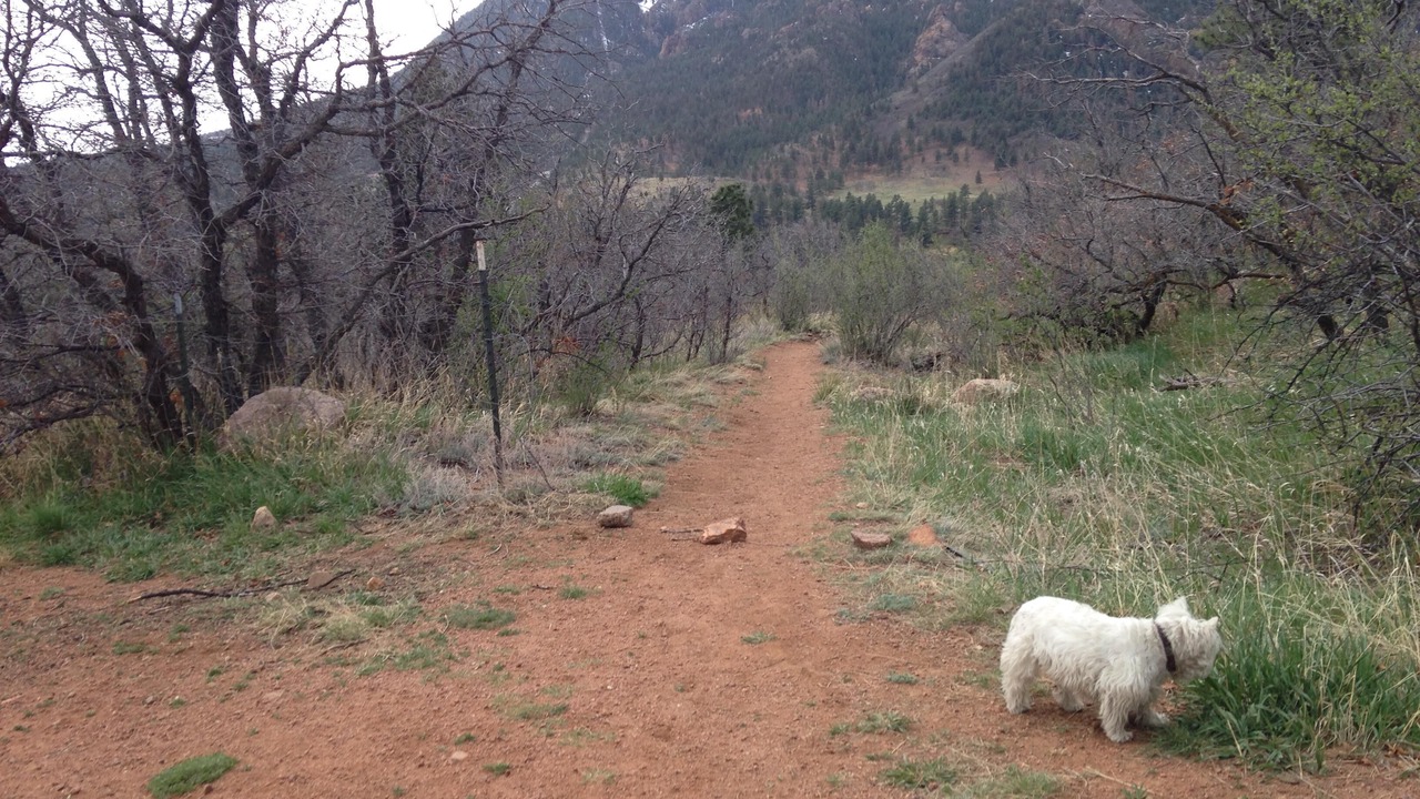 Photo of Outdoor in Broadmoor