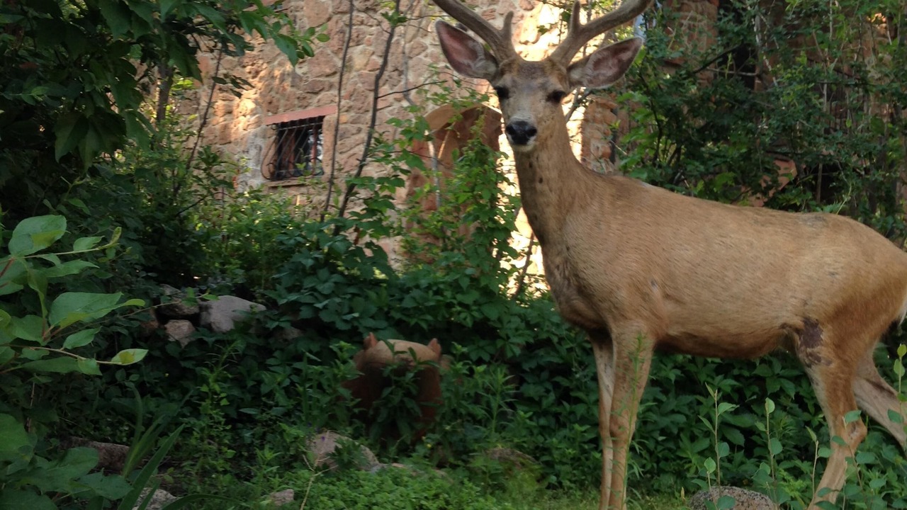 Photo of Others in Broadmoor