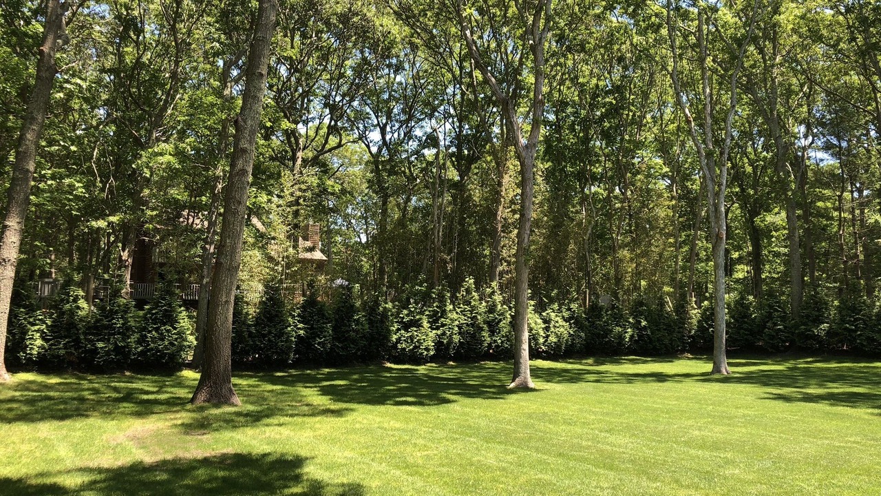 Photo of Outdoor in East Hampton North