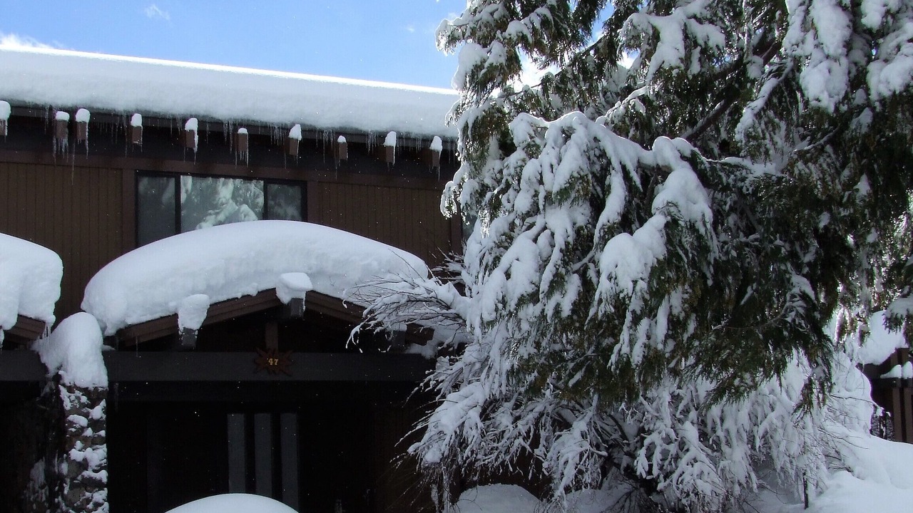 Photo of Outdoor in Tahoe City