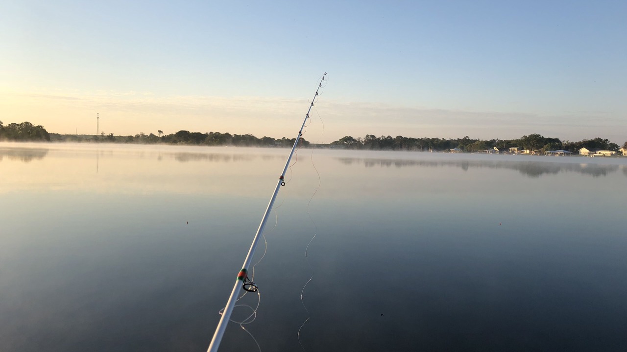 Photo of Outdoor in Highland