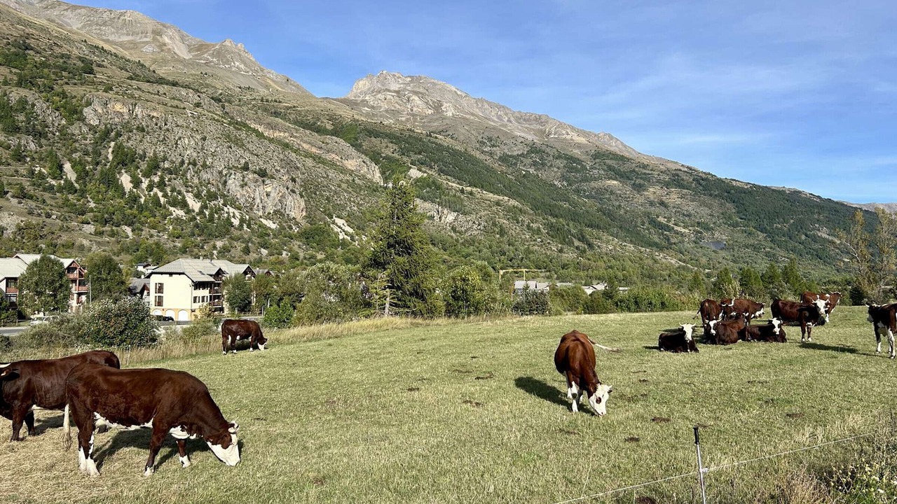 Photo of Others in Monetier-les-Bains