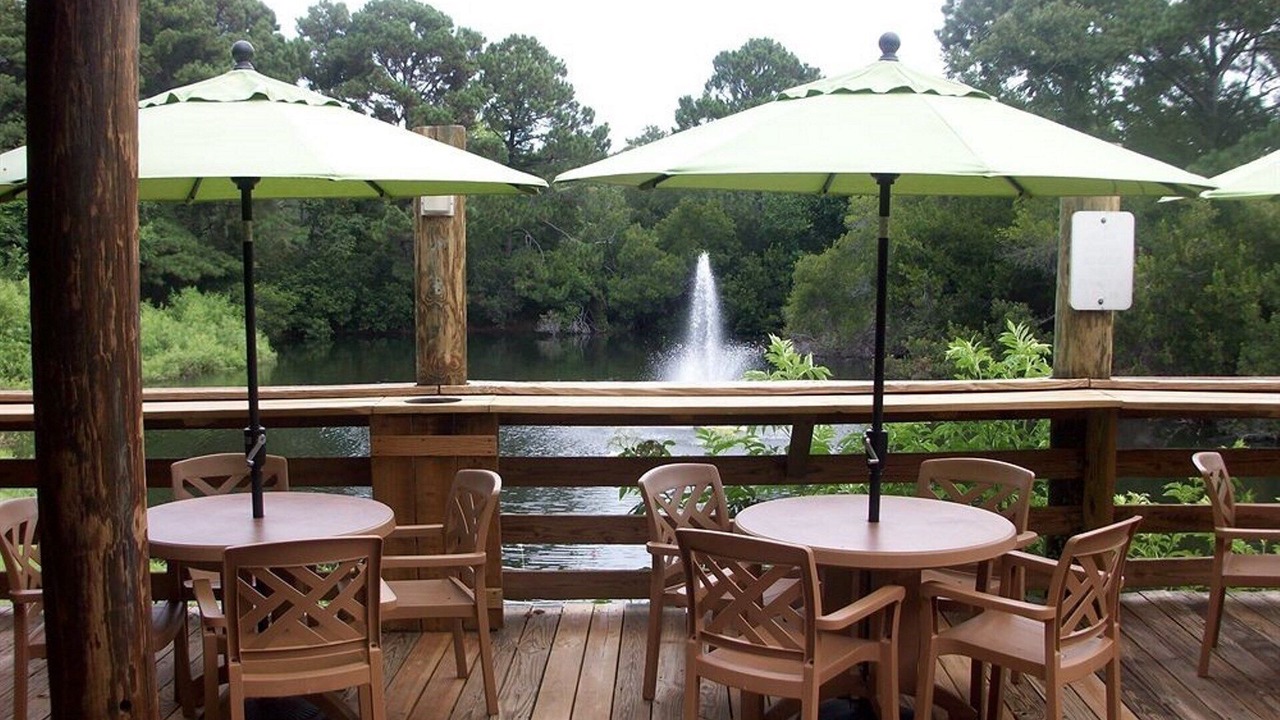 Photo of Outdoor in Folly Field
