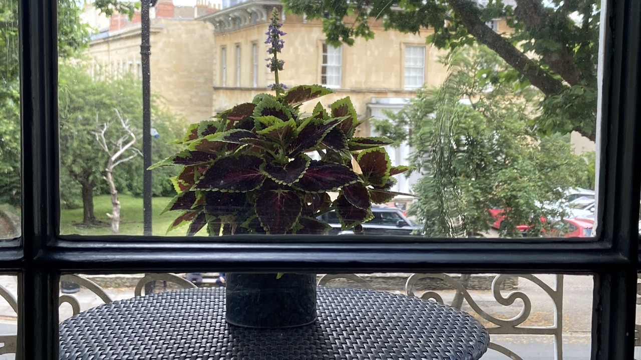 Photo of Outdoor in Cheltenham