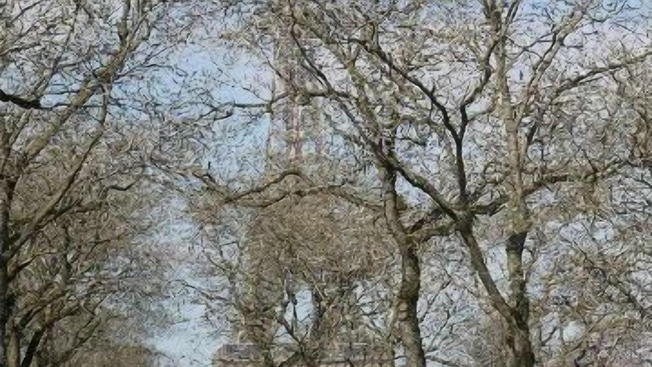 Photo of Others in Faubourg Saint-Germain