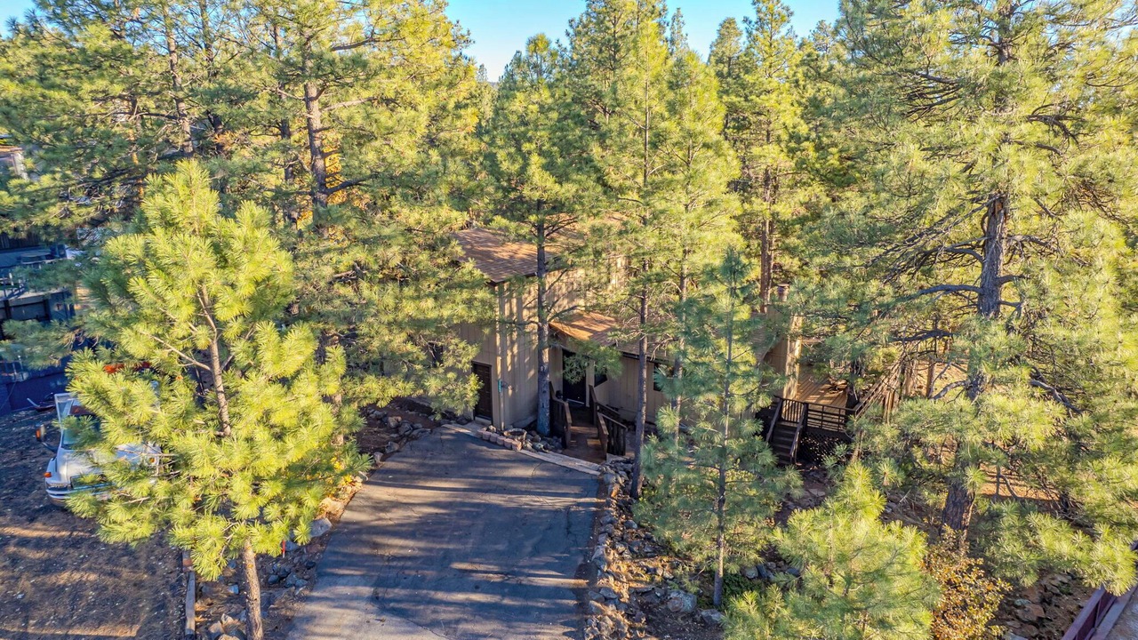 Photo of Outdoor in Munds Park