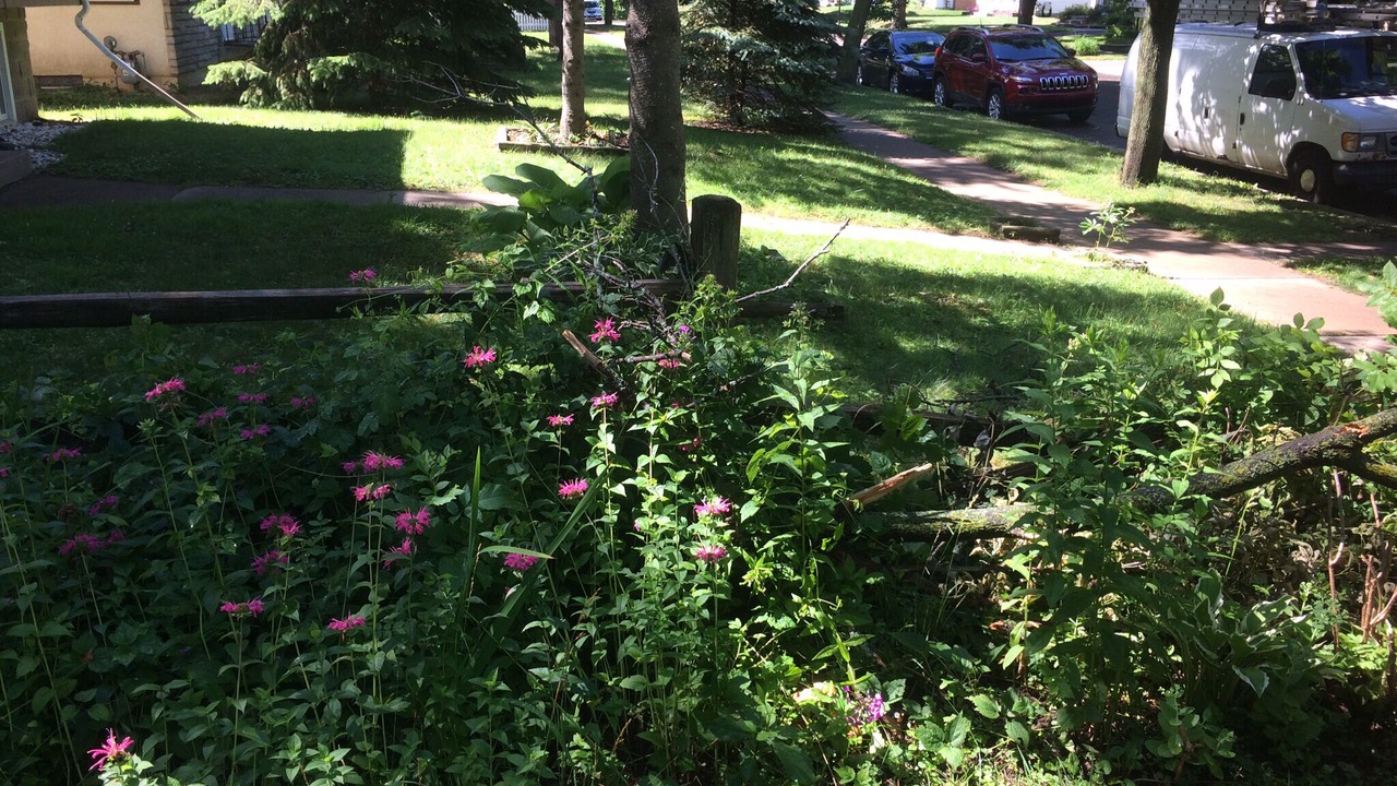 Photo of Others in St. Paul