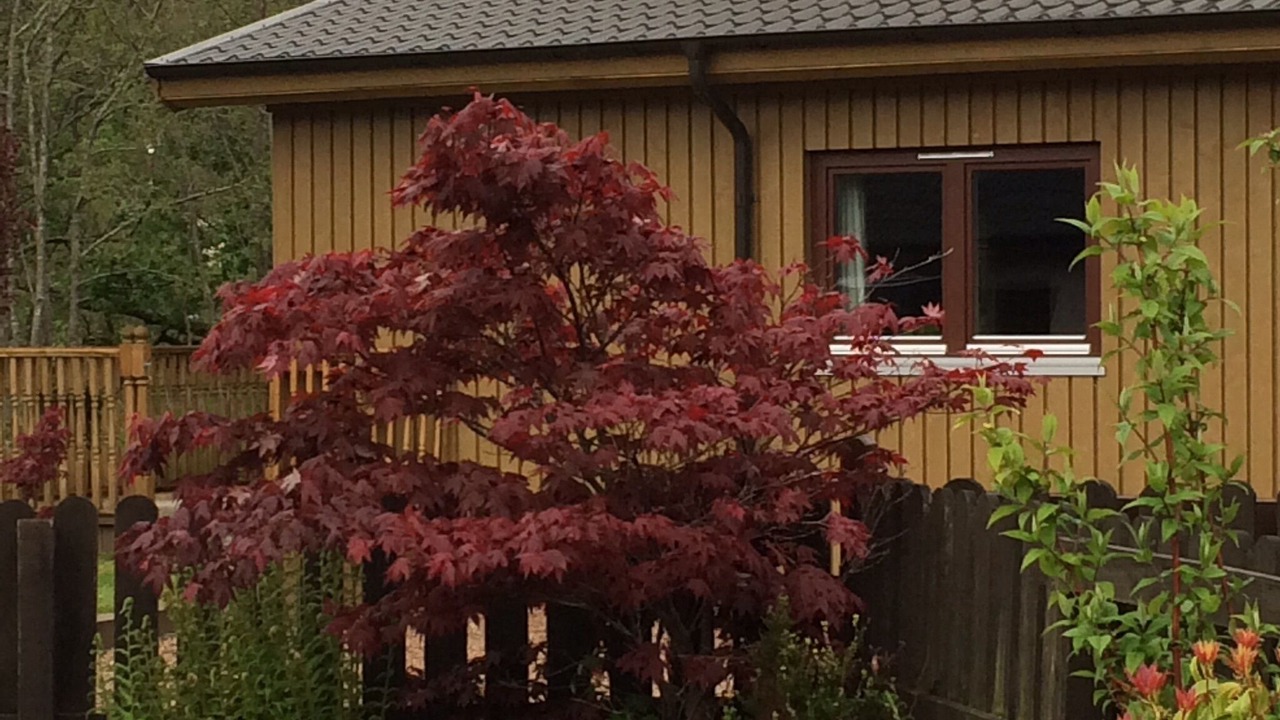 Photo of Outdoor in Banavie