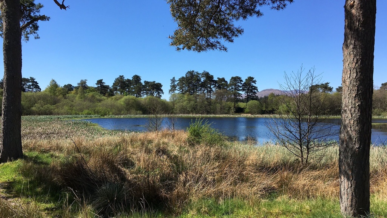 Photo of Outdoor in Banavie