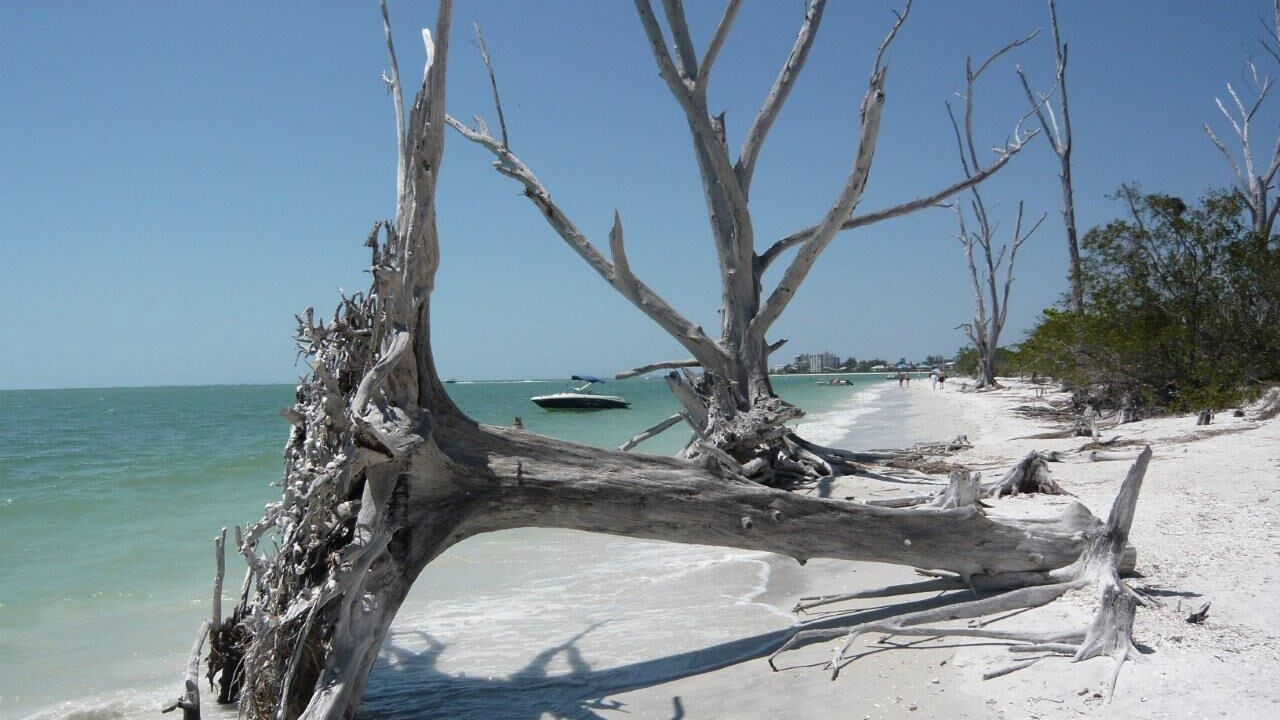 Photo of Others in Cape Coral