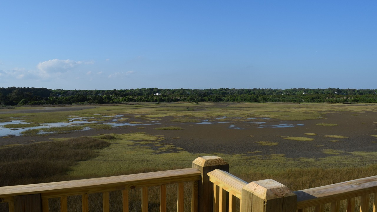 Photo of Others in Holden Beach