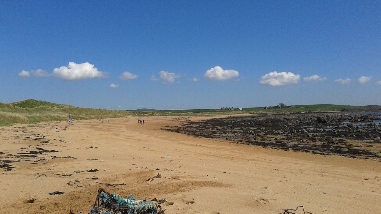 Photo of Others in Pittenweem