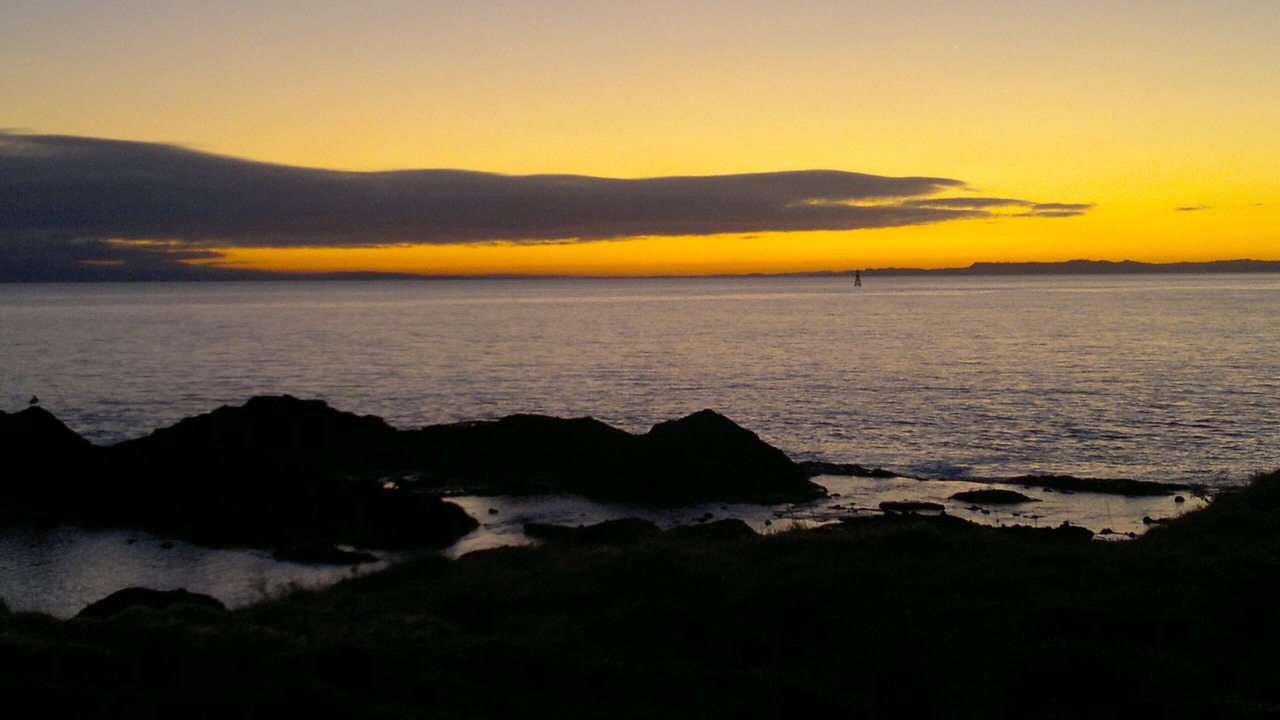 Photo of Others in Pittenweem