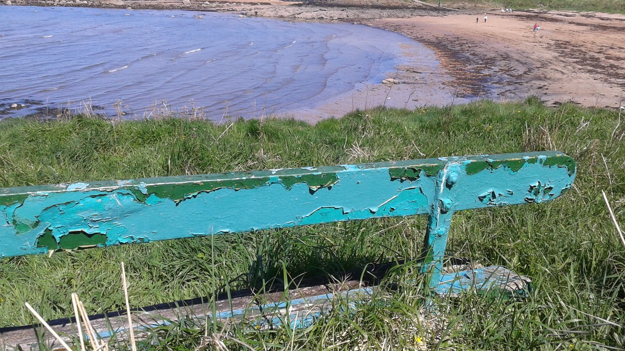 Photo of Others in Pittenweem